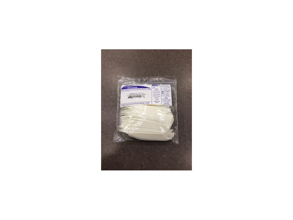 GATEWAY ALETTE NAT BIANCO 4"