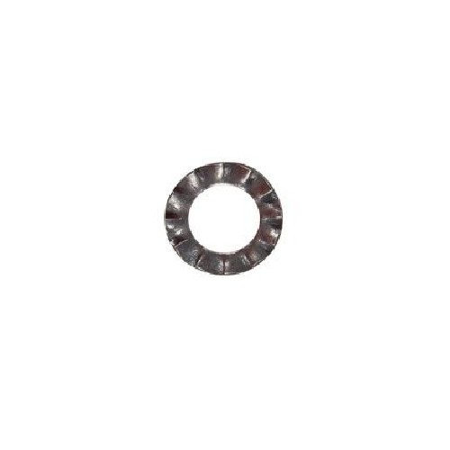 BERETTA ROSETTA ELASTICA DENTATA