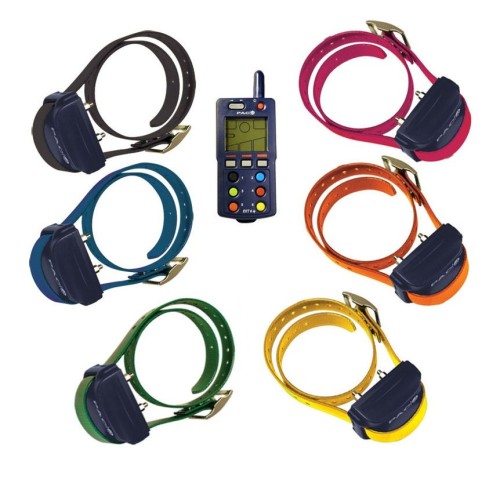 PAC DOG COLLARE EXT 3000 MT 2 CANI
