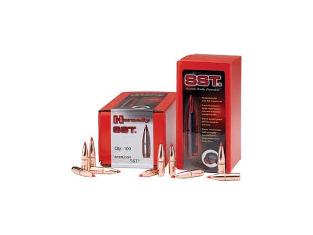 HORNADY PALLE CAL 270 SST 130 GR