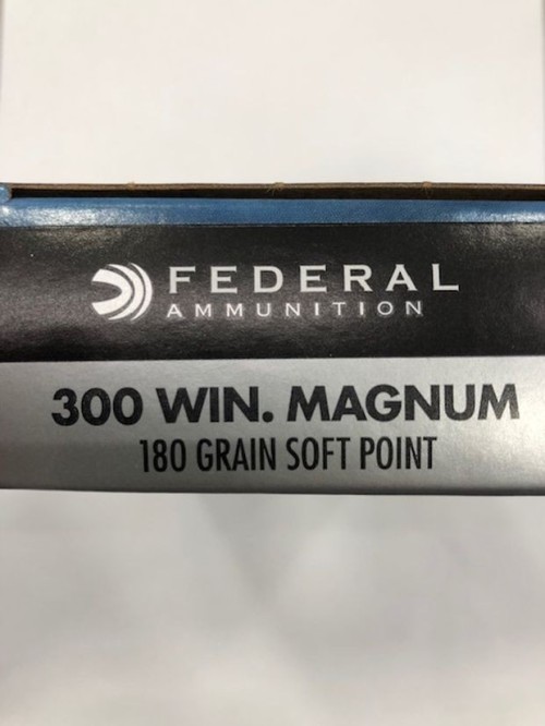 FEDERAL CARICHE 300 WIN MAG GR 180
