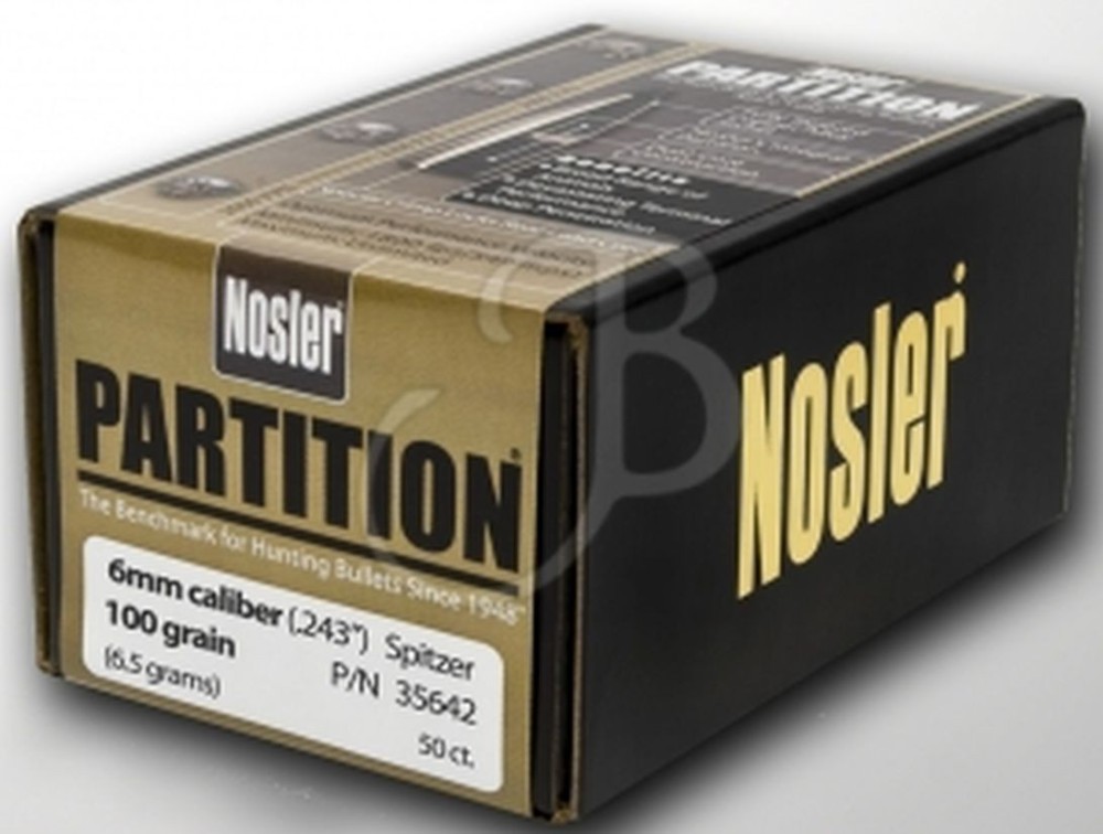 NOSLER PARTITION PALLE C 6MM GR 100