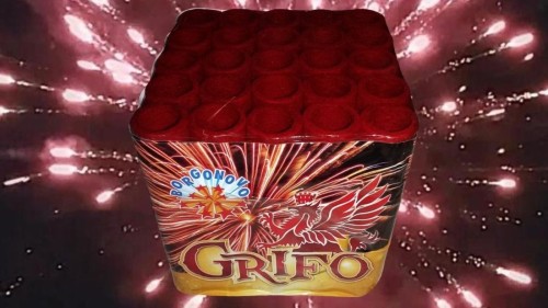 SPETTACOLO GRIFO CAT F2