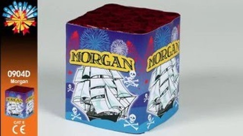 SPETTACOLO MORGAN F2