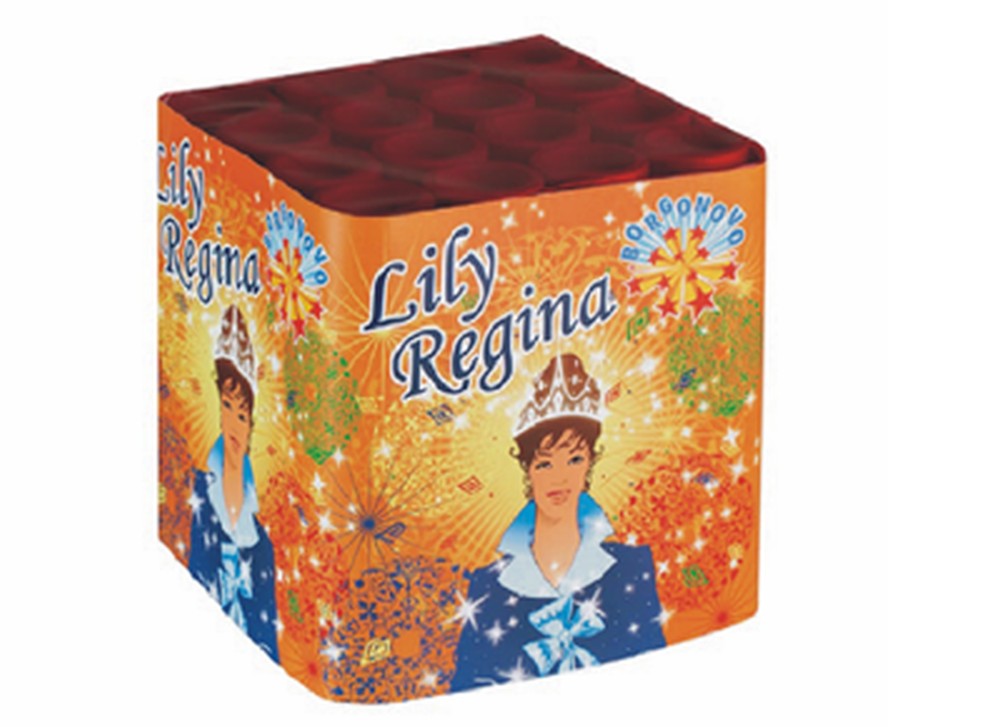 SPETTACOLO LILY REGINA  F2