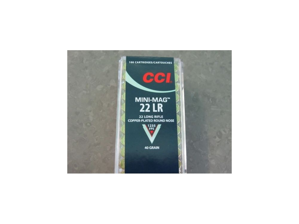CCI CARICHE 22LR MINI-MAG 40 GR CP