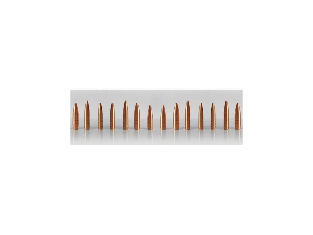 HASLER PALLE MONOLITICHE 270 GR122