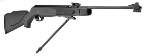 GAMO CARABINA LIB V BIG CAT CF S