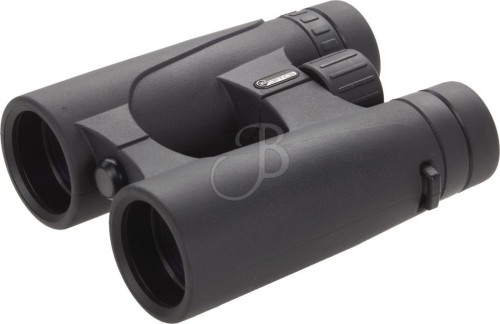 39OPTICS BINOCOLO 8X42 OPEN BRIDGE