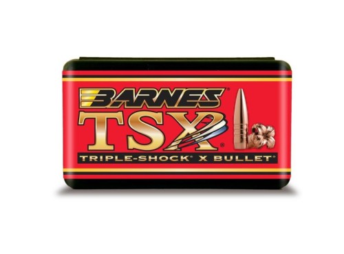 BARNES PALLE  CAL 9,3 GR 286