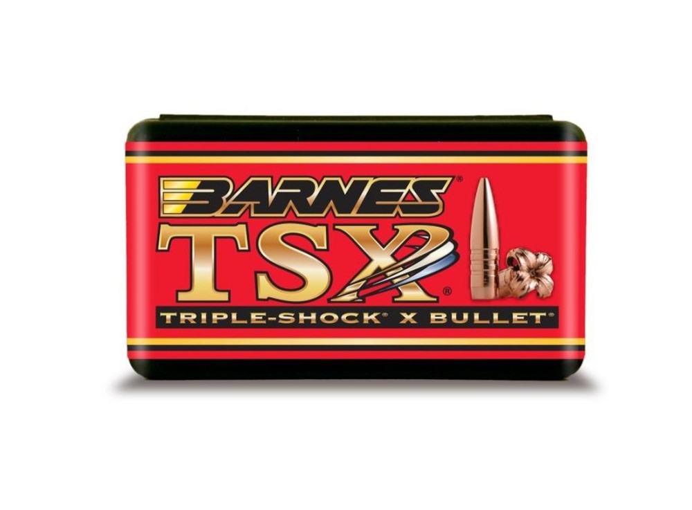 BARNES PALLE  CAL 9,3 GR 286