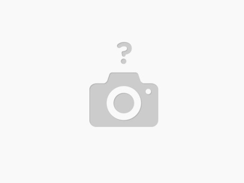 OTTURATORE COLT M4 C 223