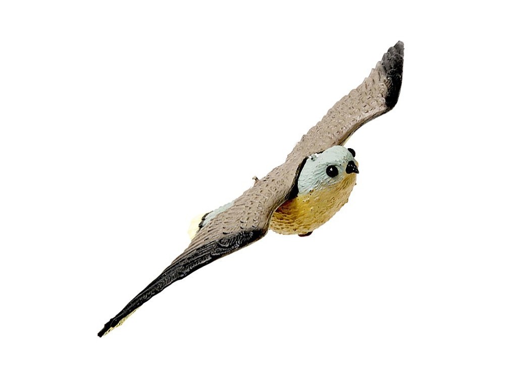 STAMPO FALCO IN VOLO