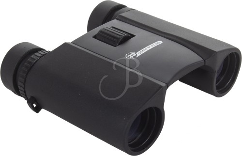 39OPTICS BINOCOLO 10X25