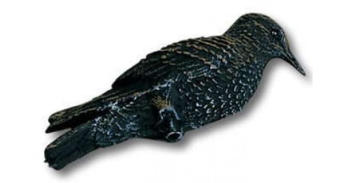 STAMPI STORNO POSATO