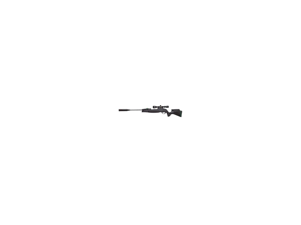 GAMO SWARM CARA MAGNUM C 5,5 L.V