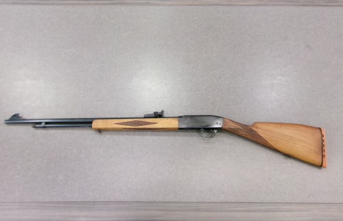 HIGGINS 30 22LR USATO