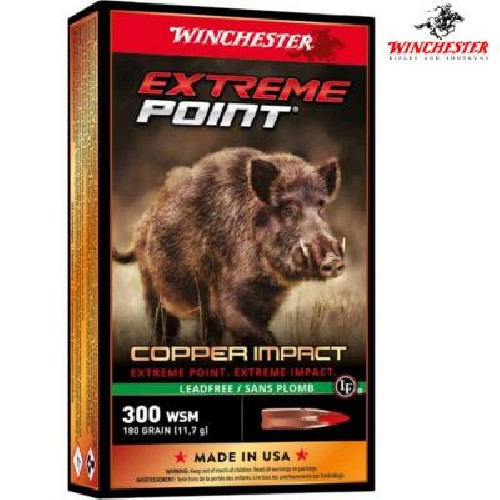 WINCHESTER CARICHE 300WSM 180GR