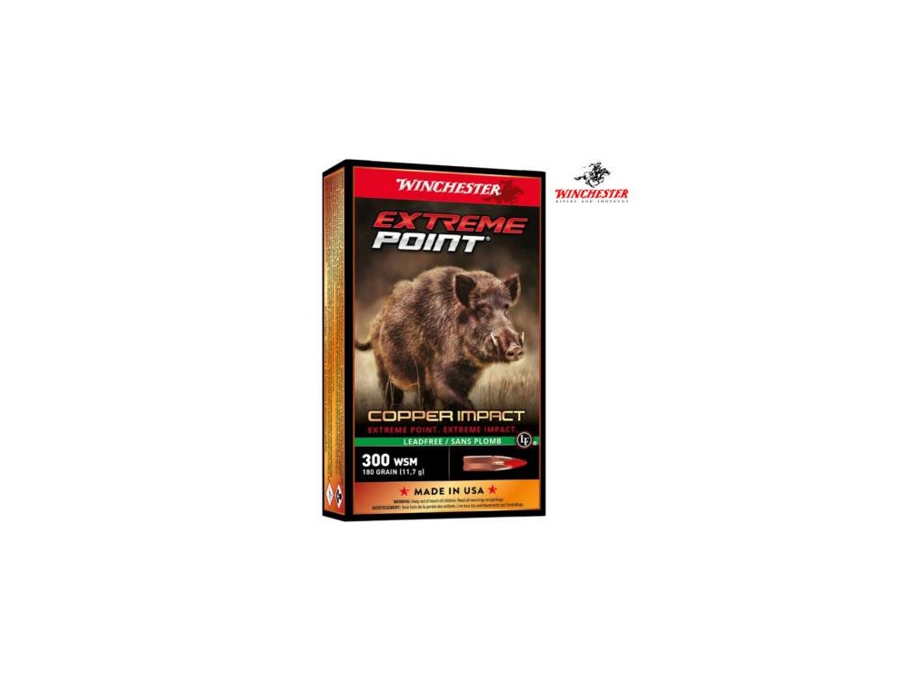 WINCHESTER CARICHE 300WSM 180GR