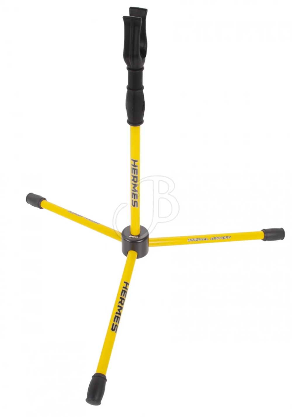 CAVALLETTO HERMES REGGIARCO YL