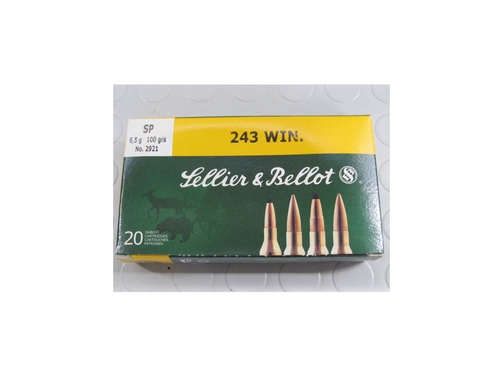 S&B CARICHE CAL 243 WIN SP 100 GR