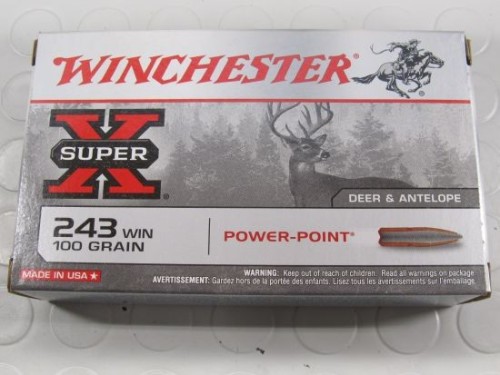 WINCHESTER CARICHE 243 WIN 100 GR