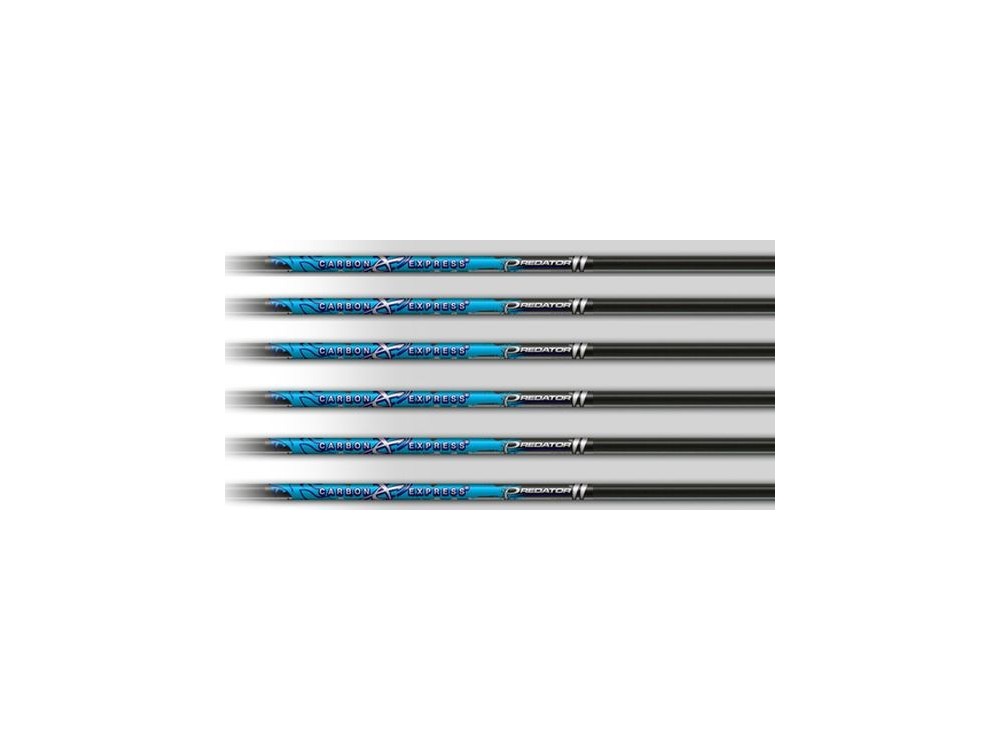 CARBON EXPRESS FRECCIA