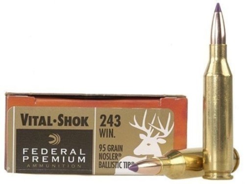 FEDERAL CARICHE 243 WIN