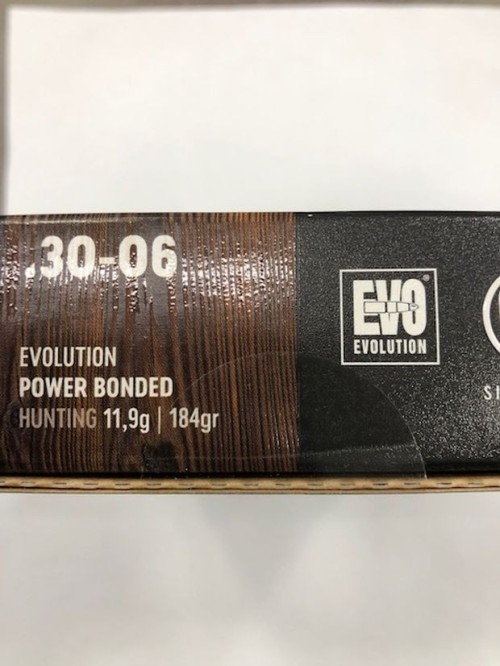 RWS CARICHE 30-06 GR 184 EVOLUTION